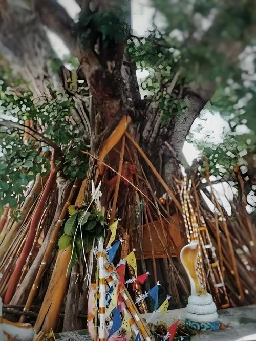 泰国情降真能让死心的爱人回心转意？  泰国情降 情降法事 情降 情降复合 第2张